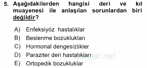 Temel Klinik Bilgisi 2017 - 2018 3 Ders Sınavı 5.Soru