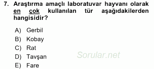 Temel Klinik Bilgisi 2017 - 2018 3 Ders Sınavı 7.Soru