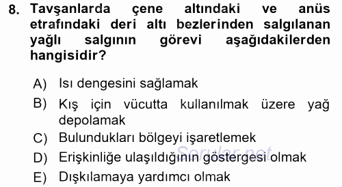 Temel Klinik Bilgisi 2017 - 2018 3 Ders Sınavı 8.Soru