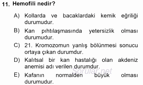 Çocuk Gelişimde Normal Ve Atipik Gelişim 2017 - 2018 3 Ders Sınavı 11.Soru