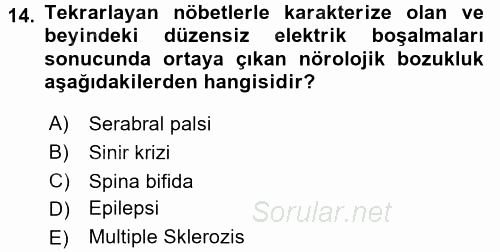Çocuk Gelişimde Normal Ve Atipik Gelişim 2017 - 2018 3 Ders Sınavı 14.Soru