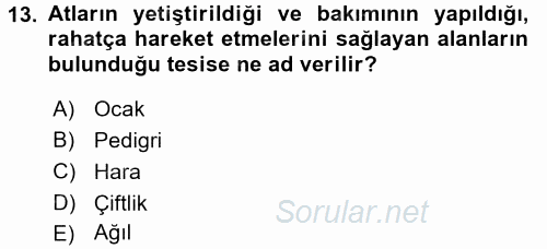 Veteriner Hizmetleri Mevzuatı ve Etik 2017 - 2018 Dönem Sonu Sınavı 13.Soru