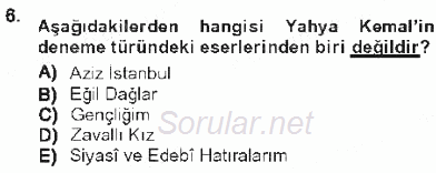 Cumhuriyet Dönemi Türk Nesri 2012 - 2013 Tek Ders Sınavı 6.Soru