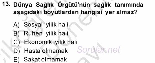 Sosyal Hizmet Kuruluşları 2014 - 2015 Dönem Sonu Sınavı 13.Soru