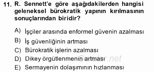 Sosyolojide Yakın Dönem Gelişmeler 2014 - 2015 Dönem Sonu Sınavı 11.Soru
