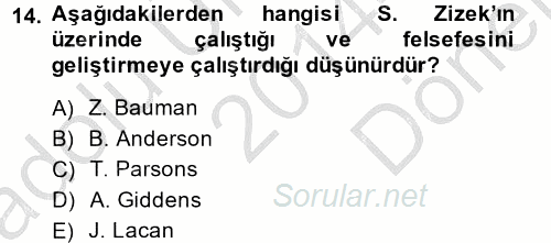 Sosyolojide Yakın Dönem Gelişmeler 2014 - 2015 Dönem Sonu Sınavı 14.Soru
