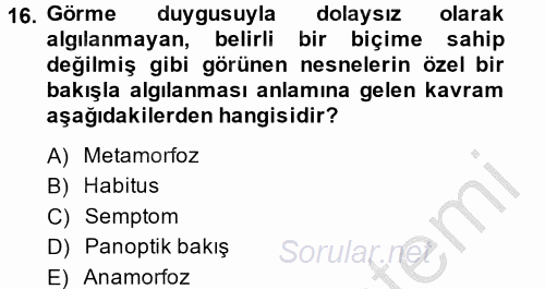 Sosyolojide Yakın Dönem Gelişmeler 2014 - 2015 Dönem Sonu Sınavı 16.Soru