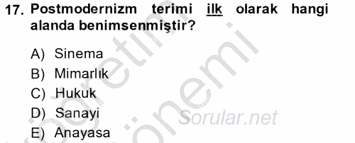 Sosyolojide Yakın Dönem Gelişmeler 2014 - 2015 Dönem Sonu Sınavı 17.Soru