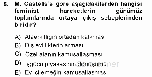 Sosyolojide Yakın Dönem Gelişmeler 2014 - 2015 Dönem Sonu Sınavı 5.Soru