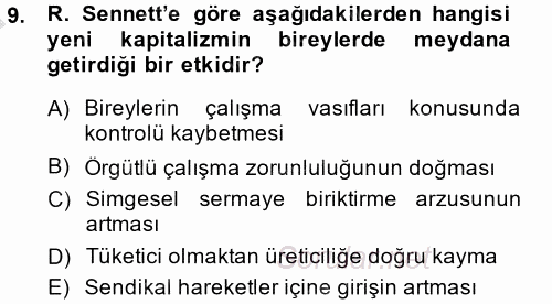 Sosyolojide Yakın Dönem Gelişmeler 2014 - 2015 Dönem Sonu Sınavı 9.Soru