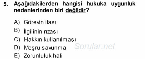 Ceza Hukukuna Giriş 2014 - 2015 Tek Ders Sınavı 5.Soru