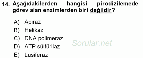 Sağlık Sosyolojisi 2017 - 2018 Ara Sınavı 14.Soru