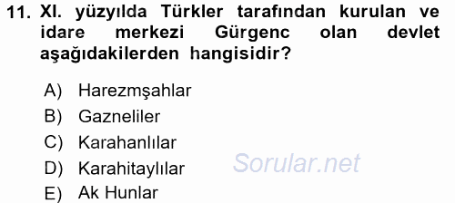 Orta Çağ ve Yeni Çağ Türk Devletleri Tarihi 2017 - 2018 Ara Sınavı 11.Soru