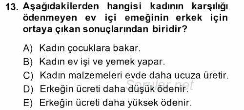 Toplumsal Cinsiyet Sosyolojisi 2014 - 2015 Tek Ders Sınavı 13.Soru