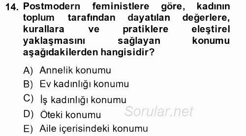 Toplumsal Cinsiyet Sosyolojisi 2014 - 2015 Tek Ders Sınavı 14.Soru