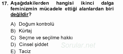 Toplumsal Cinsiyet Sosyolojisi 2014 - 2015 Tek Ders Sınavı 17.Soru