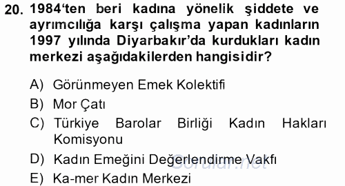 Toplumsal Cinsiyet Sosyolojisi 2014 - 2015 Tek Ders Sınavı 20.Soru