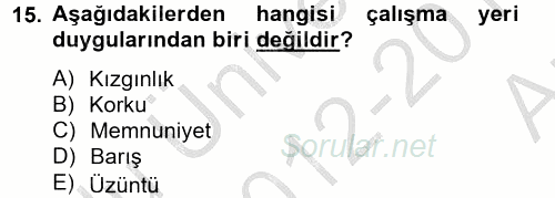 Örgütsel Davranış 2012 - 2013 Ara Sınavı 15.Soru