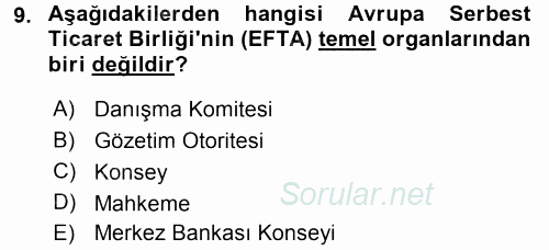Uluslararası Örgütler 2016 - 2017 Dönem Sonu Sınavı 9.Soru