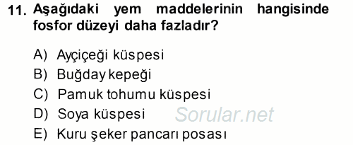 Temel Yem Bilgisi ve Hayvan Besleme 2014 - 2015 Ara Sınavı 11.Soru