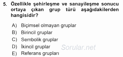 Tüketici Davranışları 2016 - 2017 Dönem Sonu Sınavı 5.Soru