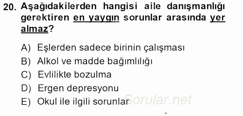 Aile Psikolojisi ve Eğitimi 2013 - 2014 Tek Ders Sınavı 20.Soru