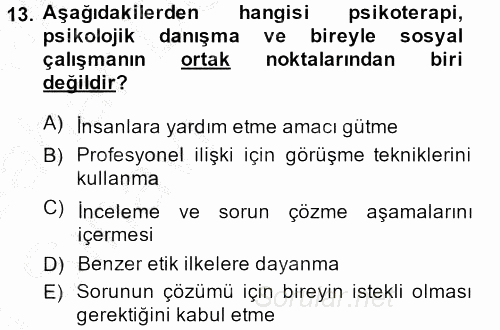 Görüşme Teknikleri 2013 - 2014 Ara Sınavı 13.Soru