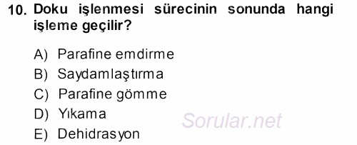 Temel Veteriner Patoloji 2013 - 2014 Ara Sınavı 10.Soru