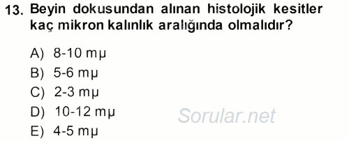 Temel Veteriner Patoloji 2013 - 2014 Ara Sınavı 13.Soru