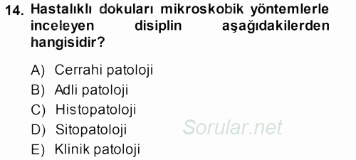 Temel Veteriner Patoloji 2013 - 2014 Ara Sınavı 14.Soru