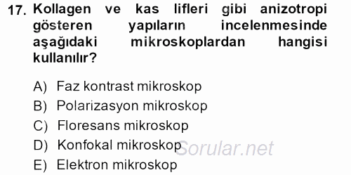 Temel Veteriner Patoloji 2013 - 2014 Ara Sınavı 17.Soru