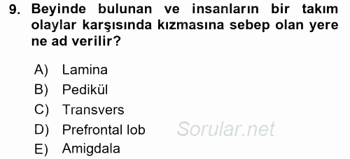 Etkili İletişim Teknikleri 2016 - 2017 3 Ders Sınavı 9.Soru