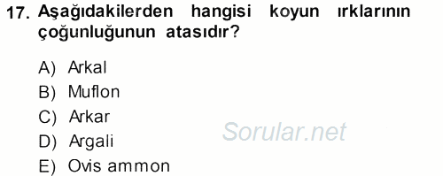 Hayvan Yetiştirme 2013 - 2014 Dönem Sonu Sınavı 17.Soru