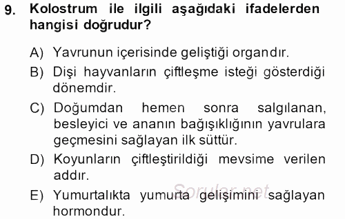 Hayvan Yetiştirme 2013 - 2014 Dönem Sonu Sınavı 9.Soru