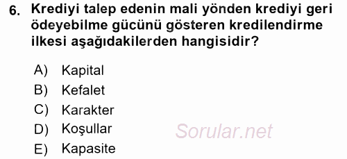 Bankalarda Kredi Yönetimi 2016 - 2017 Ara Sınavı 6.Soru