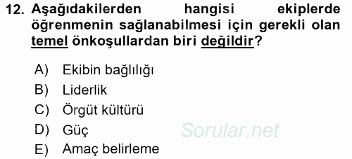 Yönetimde Güncel Yaklaşımlar 2017 - 2018 Ara Sınavı 12.Soru