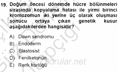 Erken Çocukluk Döneminde Gelişim 1 2014 - 2015 Ara Sınavı 19.Soru