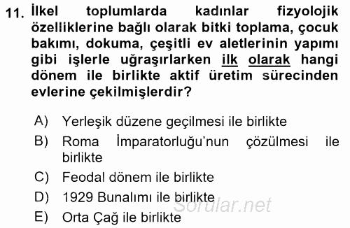 Sosyal Politika 2 2016 - 2017 Dönem Sonu Sınavı 11.Soru