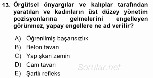 Sosyal Politika 2 2016 - 2017 Dönem Sonu Sınavı 13.Soru