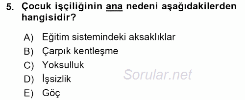 Sosyal Politika 2 2016 - 2017 Dönem Sonu Sınavı 5.Soru