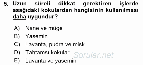 Mağaza Atmosferi 2015 - 2016 Dönem Sonu Sınavı 5.Soru