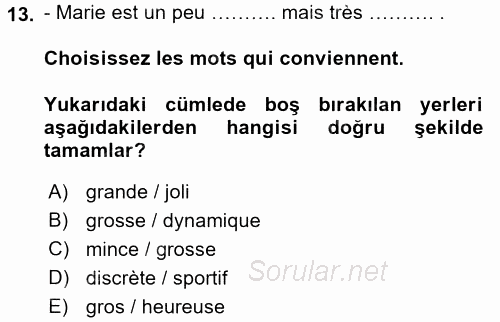 Fransızca 2 2015 - 2016 Ara Sınavı 13.Soru