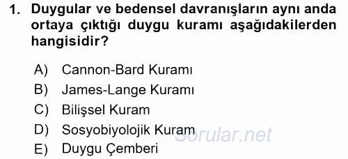 Birey ve Davranış 2016 - 2017 3 Ders Sınavı 1.Soru