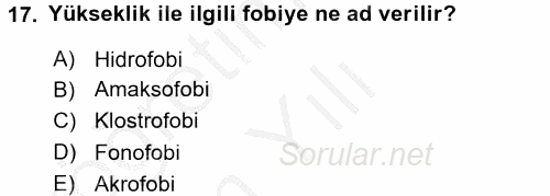 Birey ve Davranış 2016 - 2017 3 Ders Sınavı 17.Soru