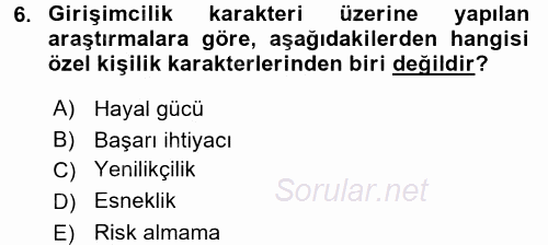 Girişimcilik ve İş Kurma 2016 - 2017 Ara Sınavı 6.Soru