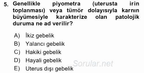 Doğum Bilgisi ve Suni Tohumlama 2017 - 2018 Dönem Sonu Sınavı 5.Soru