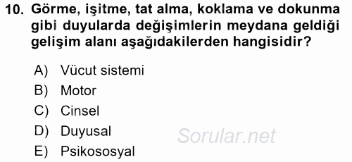 Eğitim Psikolojisi 2015 - 2016 Ara Sınavı 10.Soru