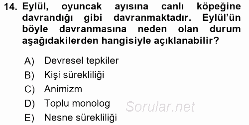 Eğitim Psikolojisi 2015 - 2016 Ara Sınavı 14.Soru