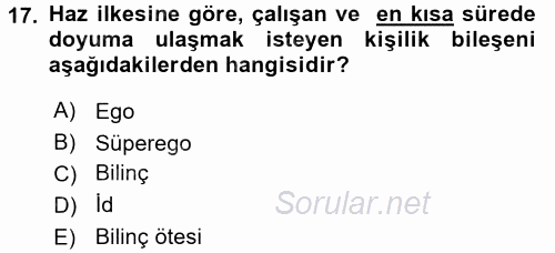 Eğitim Psikolojisi 2015 - 2016 Ara Sınavı 17.Soru