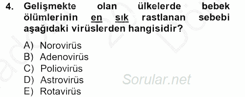 Gıda Güvenliğinin Temel Prensipleri 2012 - 2013 Dönem Sonu Sınavı 4.Soru
